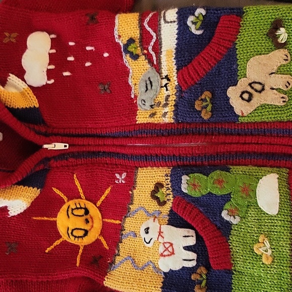 Sweater- Handmade in Peru Kid's- Alpaca Zip up Unisex hoodie with Pockets - Picture 4 of 7